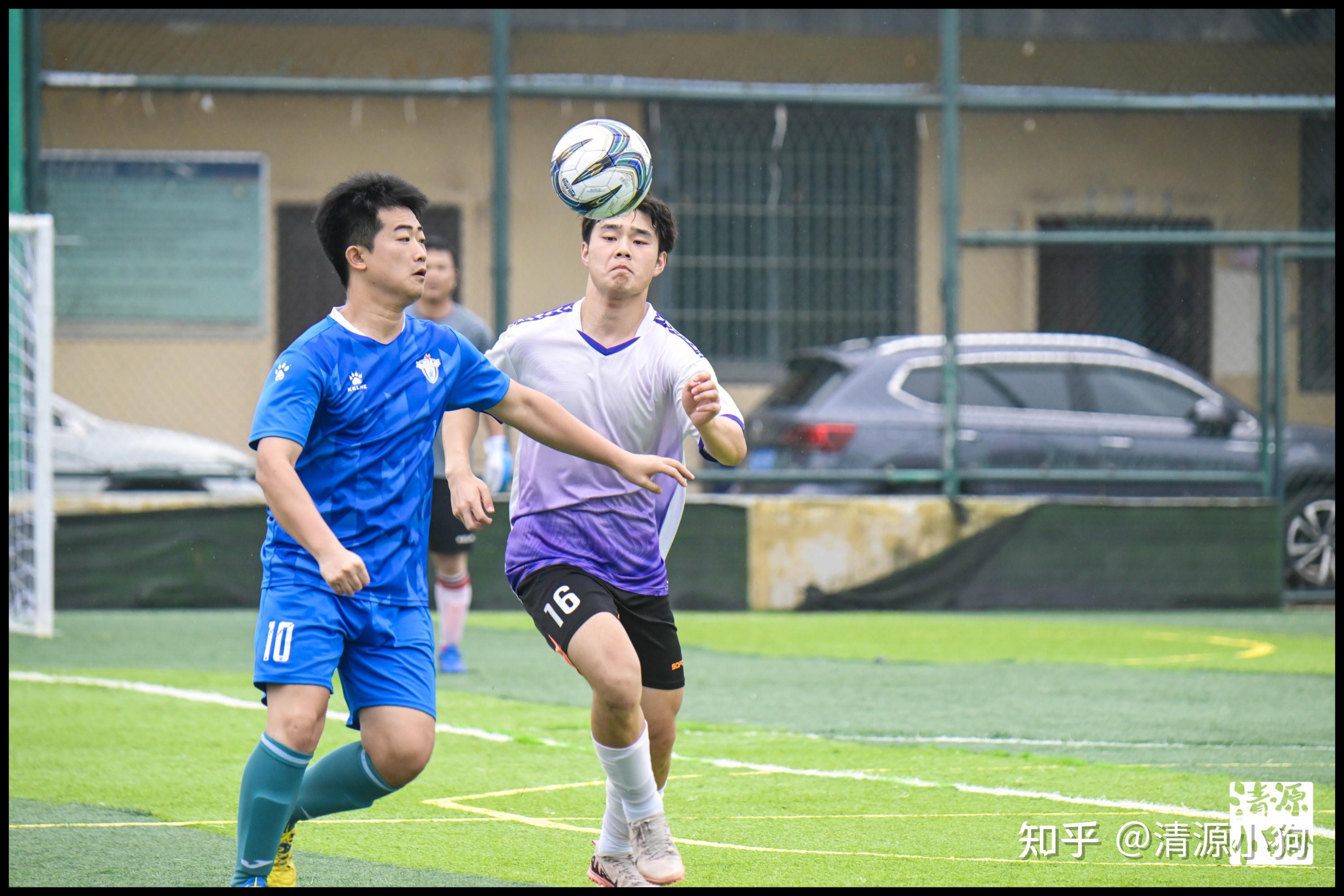 括菲律宾主 括菲律宾主